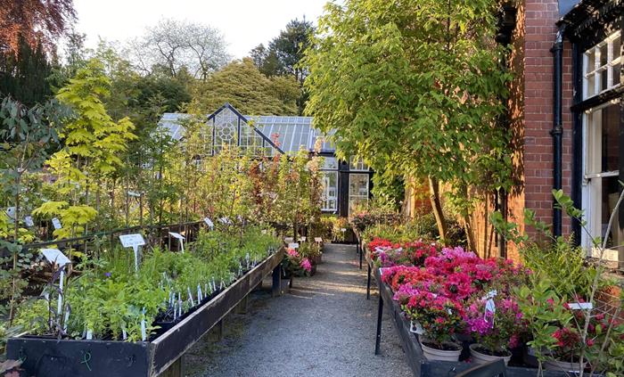 Plant Sales - Hergest Croft Gardens
